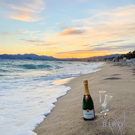 Cozy Renovated With Sea View * Cannes