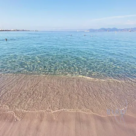 Cozy Renovated With Sea View * Cannes