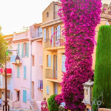 Cozy Renovated With Sea View Apartment Cannes